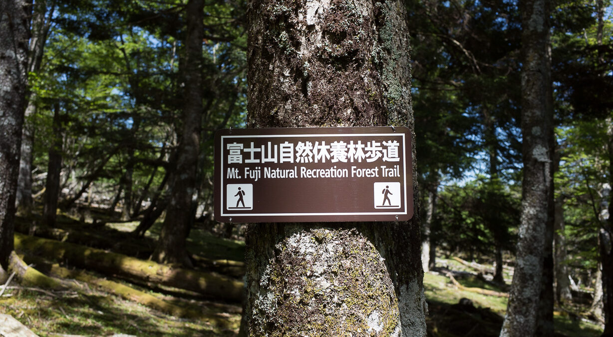 【2022/11/23更新】富士山自然休養林ハイキングコース２０２２