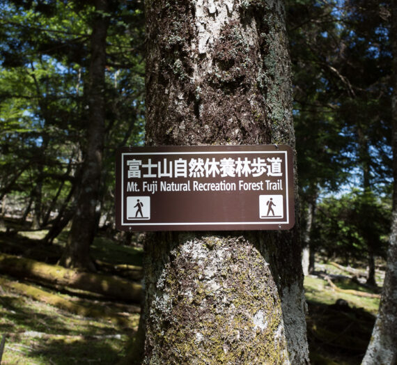 【2022/11/23更新】富士山自然休養林ハイキングコース２０２２