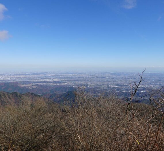 丹沢大山に登る。金毘羅尾根（諸戸尾根）から。(2022/11/25)
